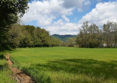 Montevecchia Parco Curone escursione anello lomagna