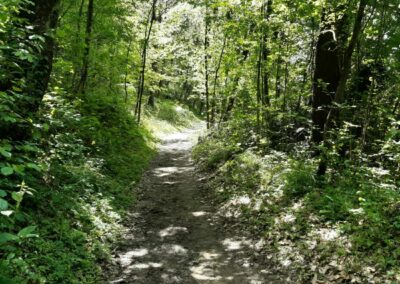 Montevecchia Parco Curone escursione anello lomagna