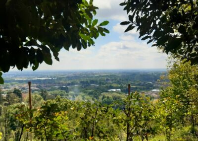 Montevecchia Parco Curone escursione anello lomagna