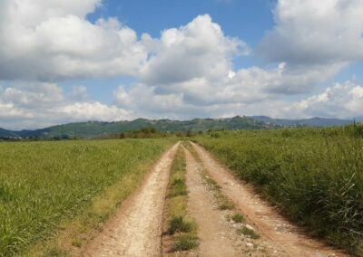 Montevecchia Parco Curone escursione anello lomagna