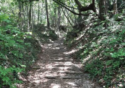 Montevecchia Parco Curone escursione anello lomagna