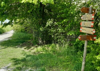 Montevecchia Parco Curone escursione anello lomagna
