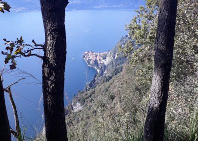 sentiero del viandante