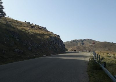 La Gallinola da Campitello Matese