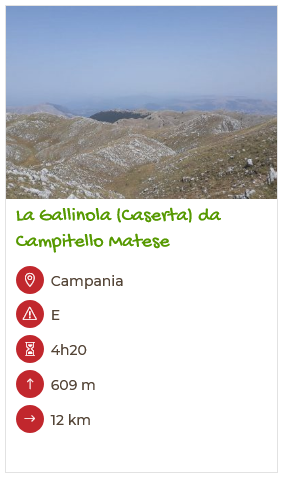 La gallinola