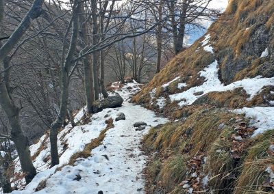 Escursione Piani di Artavaggio da Moggio