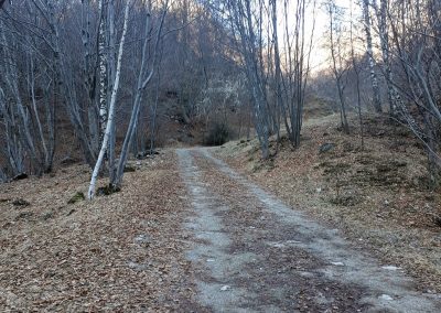 Escursione Piani di Artavaggio da Moggio
