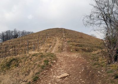 Trekking escursione anello montevecchia parco del curone