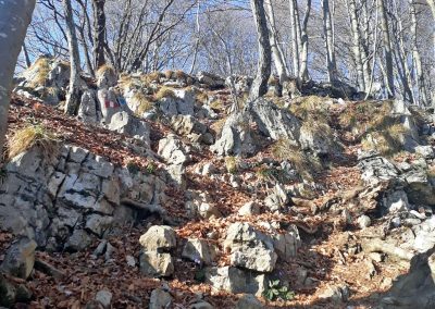 Escursione Monte Poieto anello Gazzaniga
