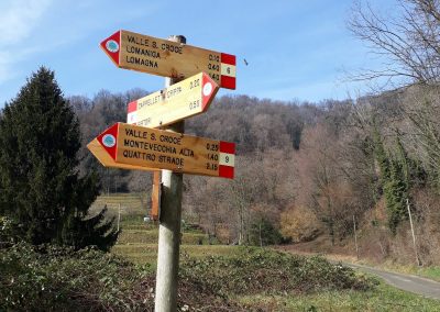 Trekking escursione anello montevecchia parco del curone