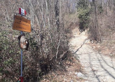 Escursione Monte Poieto anello Gazzaniga