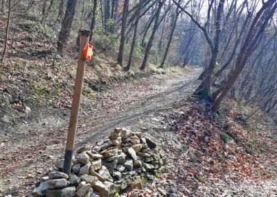 Trekking escursione anello montevecchia parco del curone