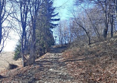 Escursione Monte Poieto anello Gazzaniga