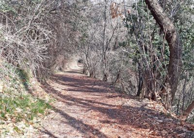 Trekking escursione anello montevecchia parco del curone