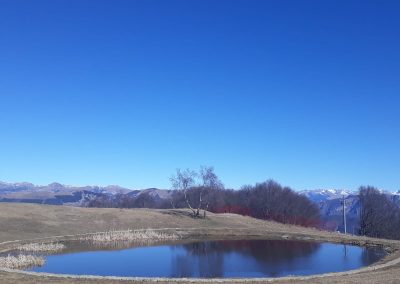 Escursione Carenno Forcella Alta Monte Tesoro
