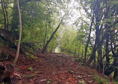 Escursione Trekking Forte di Orino e Sentiero delle Sculture
