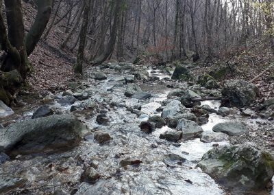 Sentiero dello Spirito del Bosco e Sentiero geologico da Canzo Gajum