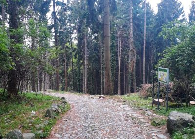 Sentiero dello Spirito del Bosco e Sentiero geologico da Canzo Gajum