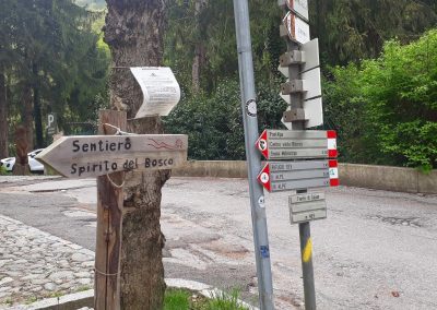 Sentiero dello Spirito del Bosco e Sentiero geologico da Canzo Gajum