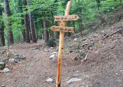 Sentiero dello Spirito del Bosco e Sentiero geologico da Canzo Gajum