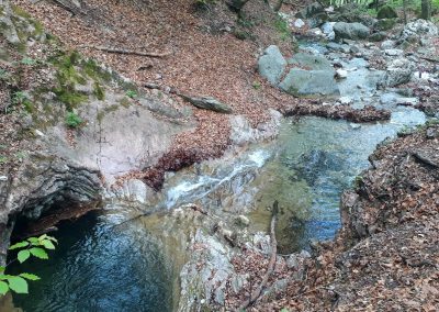Sentiero dello Spirito del Bosco e Sentiero geologico da Canzo Gajum