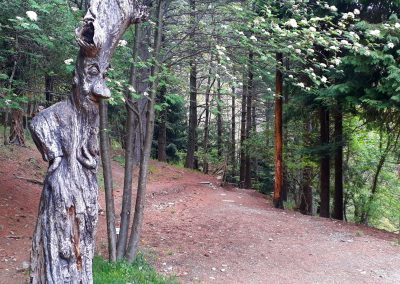 Sentiero dello Spirito del Bosco e Sentiero geologico da Canzo Gajum