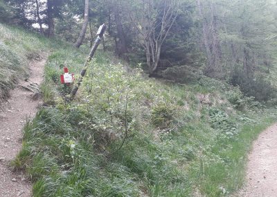 Escursione Monte Cimone da Lago della Ninfa