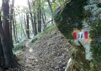escursione ballabio piani resinelli parco valentino