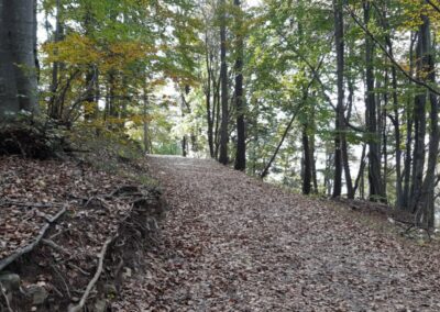 escursione ballabio piani resinelli parco valentino