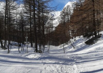escursione ciaspole alpe devero alep sangiatto
