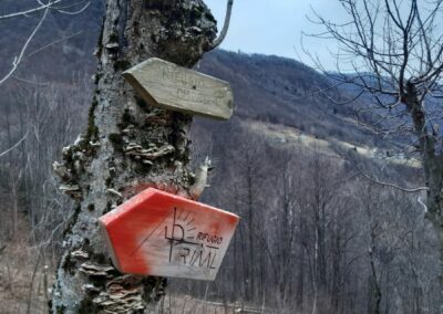 Rifugio Ariaal ed Alpe Chiarino, escursione da Premana (Lecco)