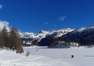 escursione ciaspole alpe devero crampiolo codelago