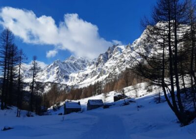 escursione ciaspole alpe devero crampiolo codelago