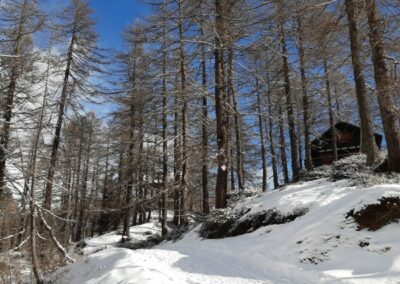 escursione ciaspole alpe devero alep sangiatto