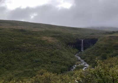 escursione cascata svartifoss parco naturale skaftafell