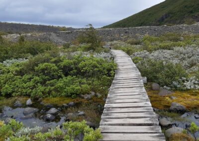 escursione ghiacciaio Vatnajökull parco naturalr skaftafell